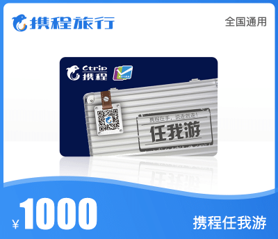 携程任我游·1000