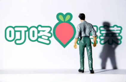 在哪里买叮咚买菜礼品卡更省钱划算？